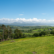 The Old Cow Shed View